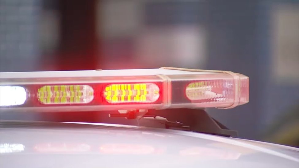 6 people taken into custody after homeless man stabbed to death in the Loop