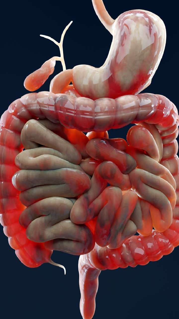 Why Drinking Water First Thing in the Morning Matters?