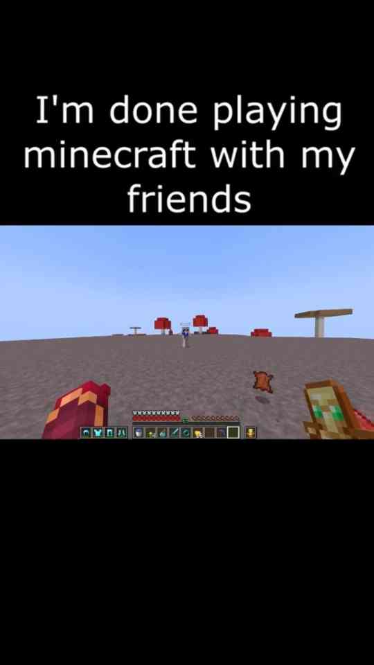 Minecraft Meme Part 12