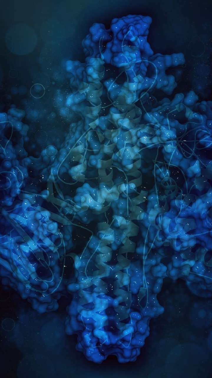 Why Drinking Water First Thing in the Morning Matters?