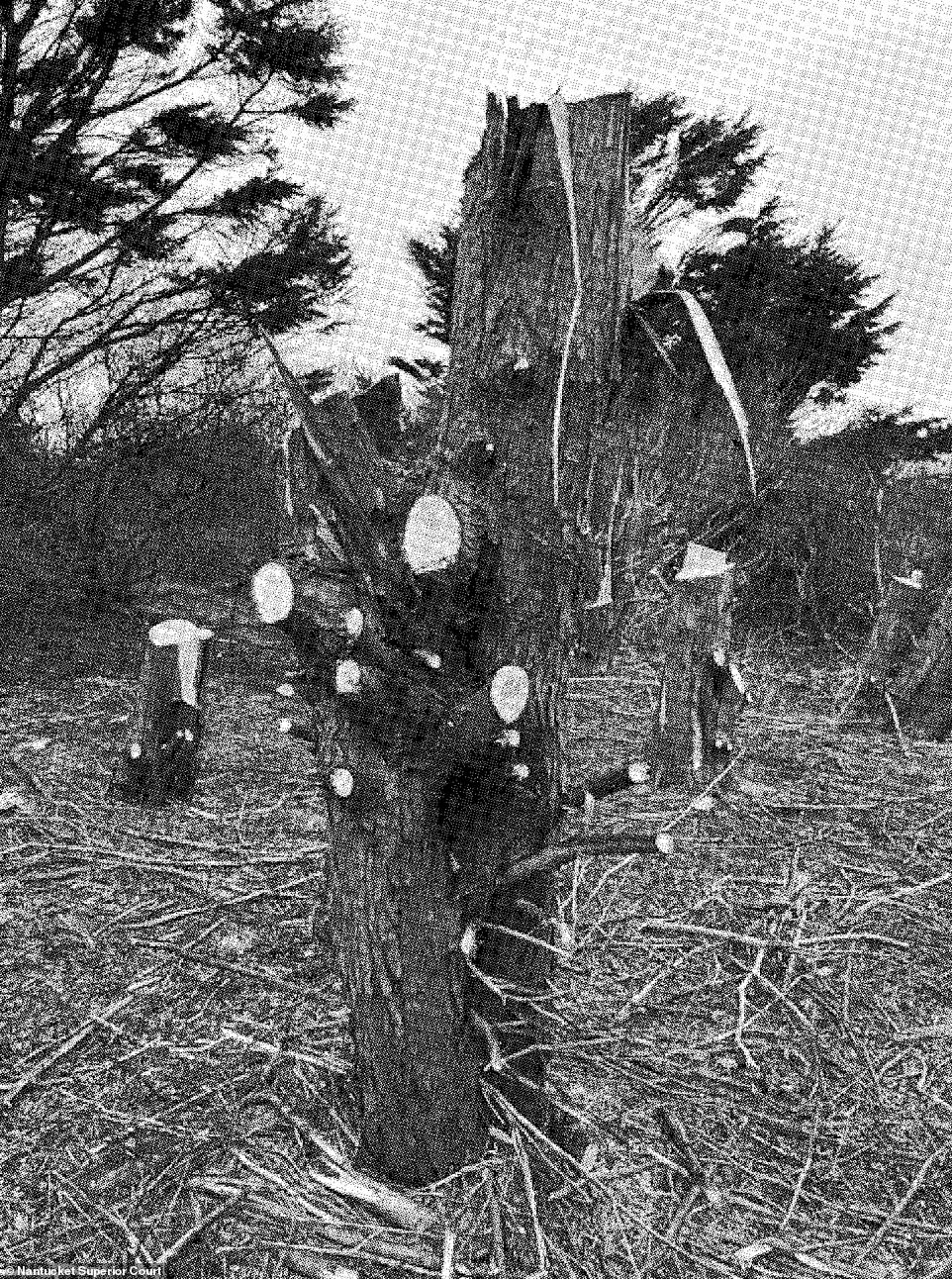 Legal expert says Pam Bondi could have prosecuted Jeffrey Epstein in