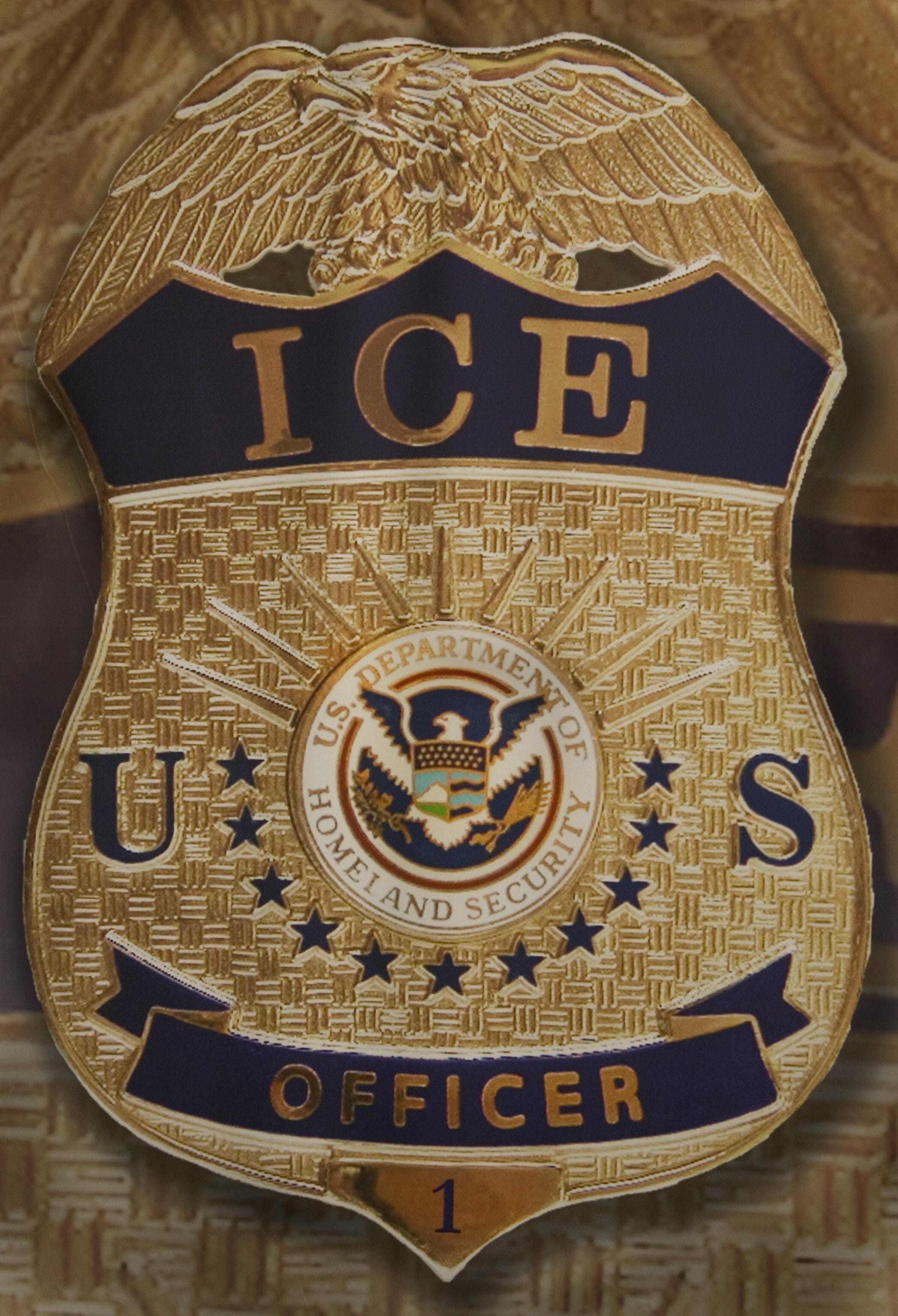 Mississippi among 11 US immigration custody deaths in 2026, ICE says