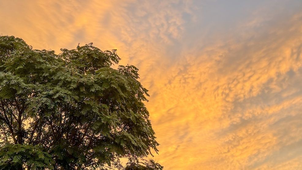 Columbus Weather: Rain chances decrease, humidity drops