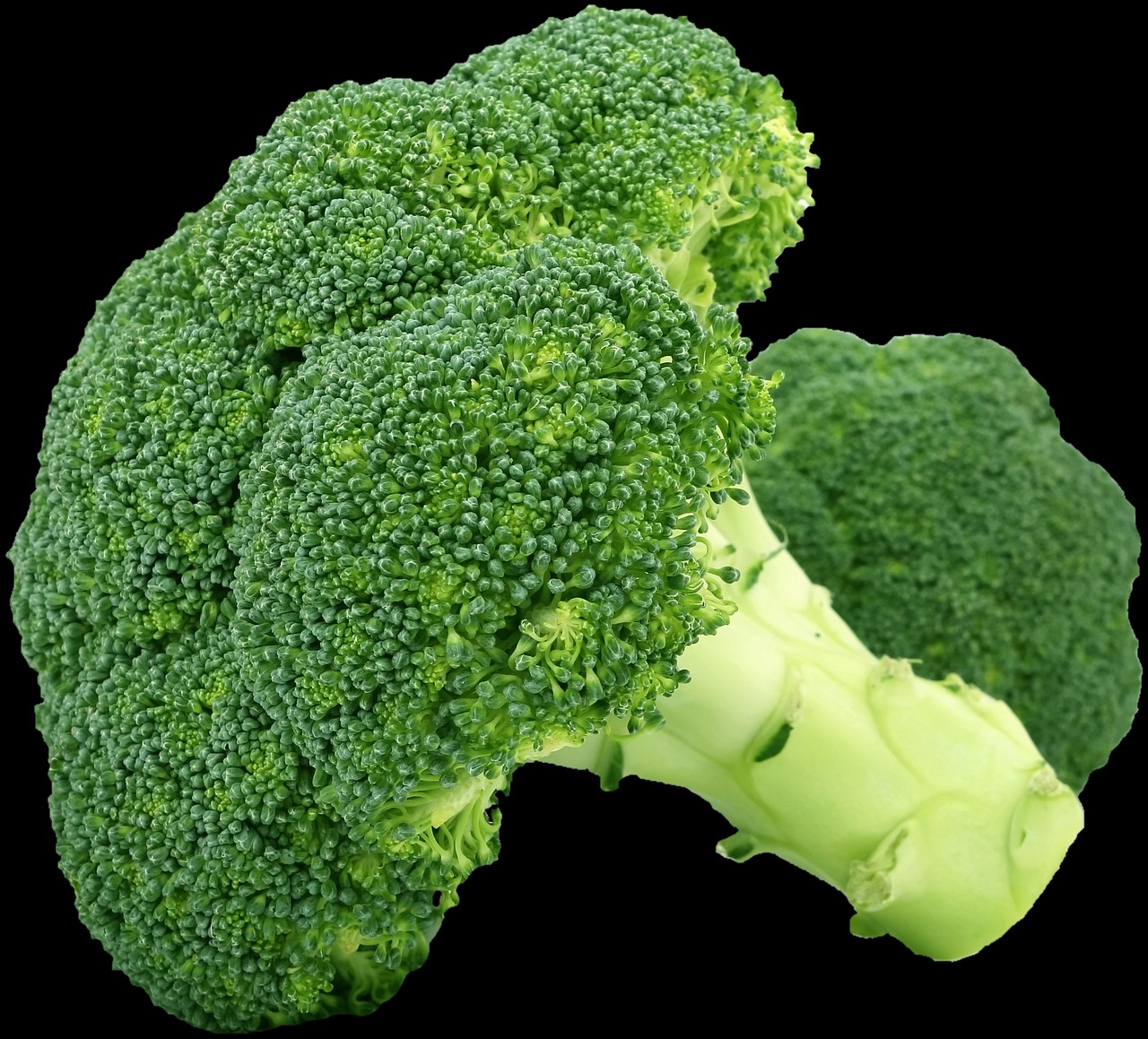 Cruciferous Vegetables: Ranked from Superstar to Unsung Heroes