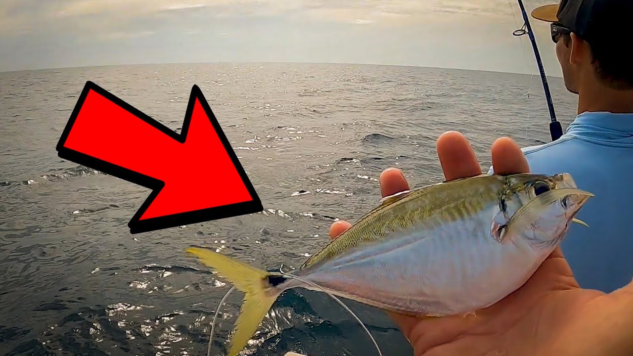 This Surprise Catch Blew Our Minds