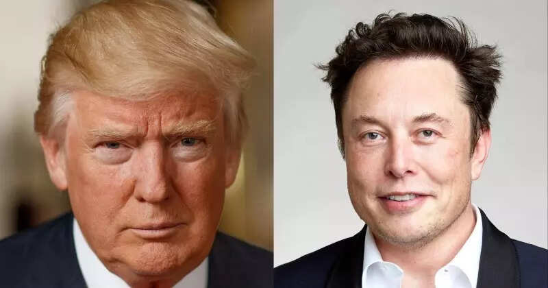 Elon Musk approval rating falls: Tesla boss is less popular than Donald