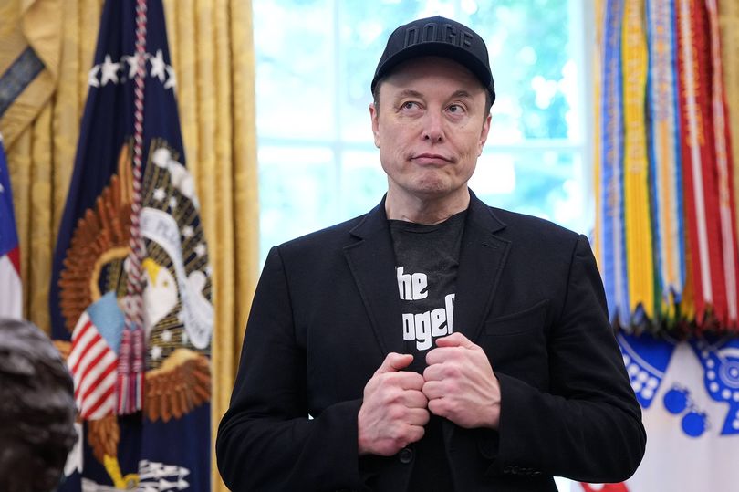 Elon Musk drops Epstein files bombshell as he claims Steve Bannon on list