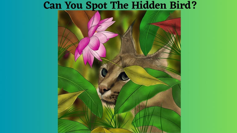 Optical Illusion IQ Test: Only People with 20/20 Vision Can Spot the ...