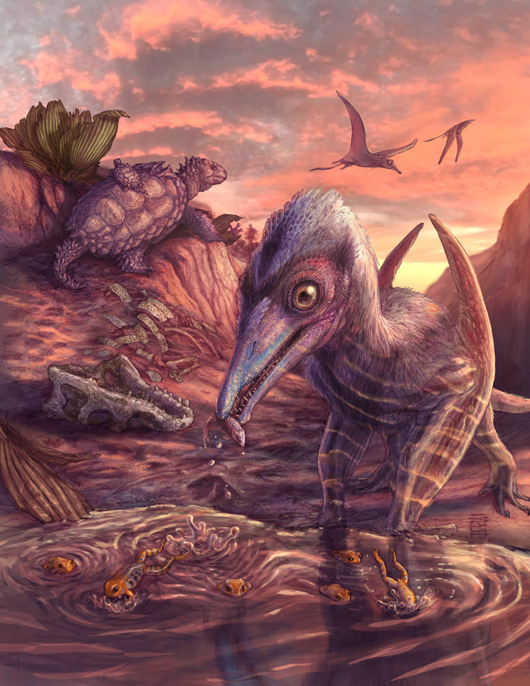'Ash-winged dawn goddess' is oldest pterosaur ever discovered in North ...