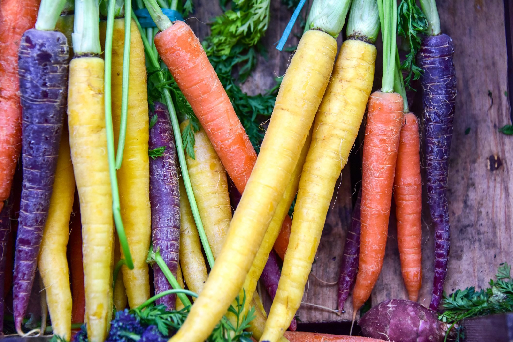 11 Colorful Vegetables for Backyard Gardeners