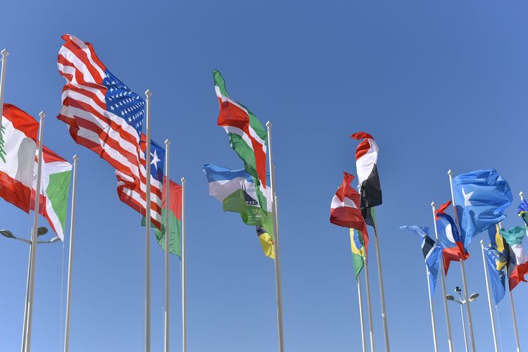 Hanya Palestina? Ini 13 Negara yang Belum Diakui PBB