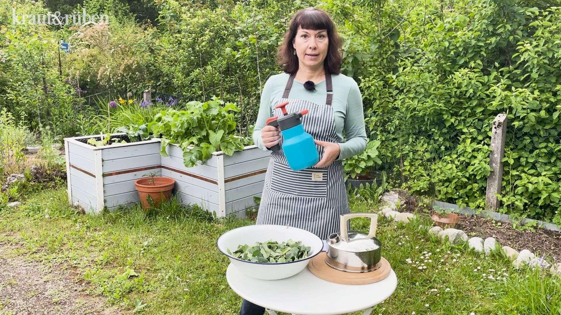 Schnell &amp; einfach: Läuse-Mittel aus Rhabarber-Blättern