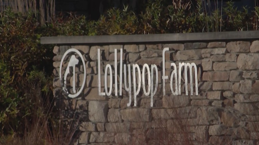 Lollypop Farm announces several animal cruelty arrests