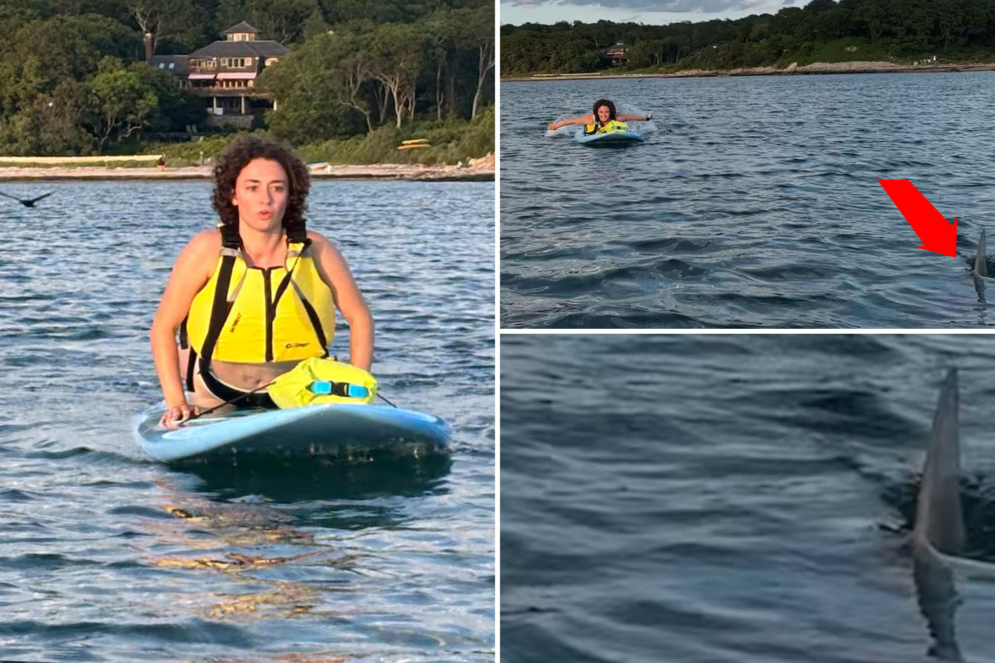 Terrified Massachusetts paddleboarders capture close encounter with