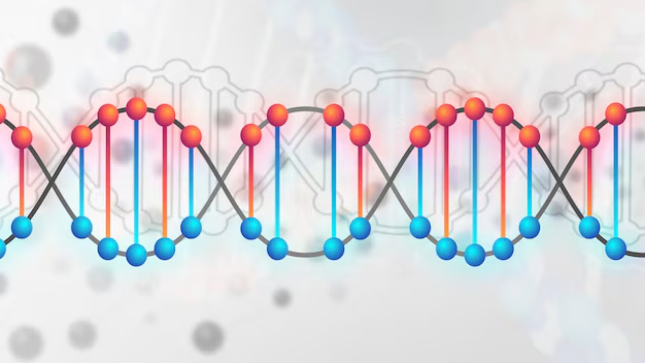 6 Dna Mutations Changing Humans Forever