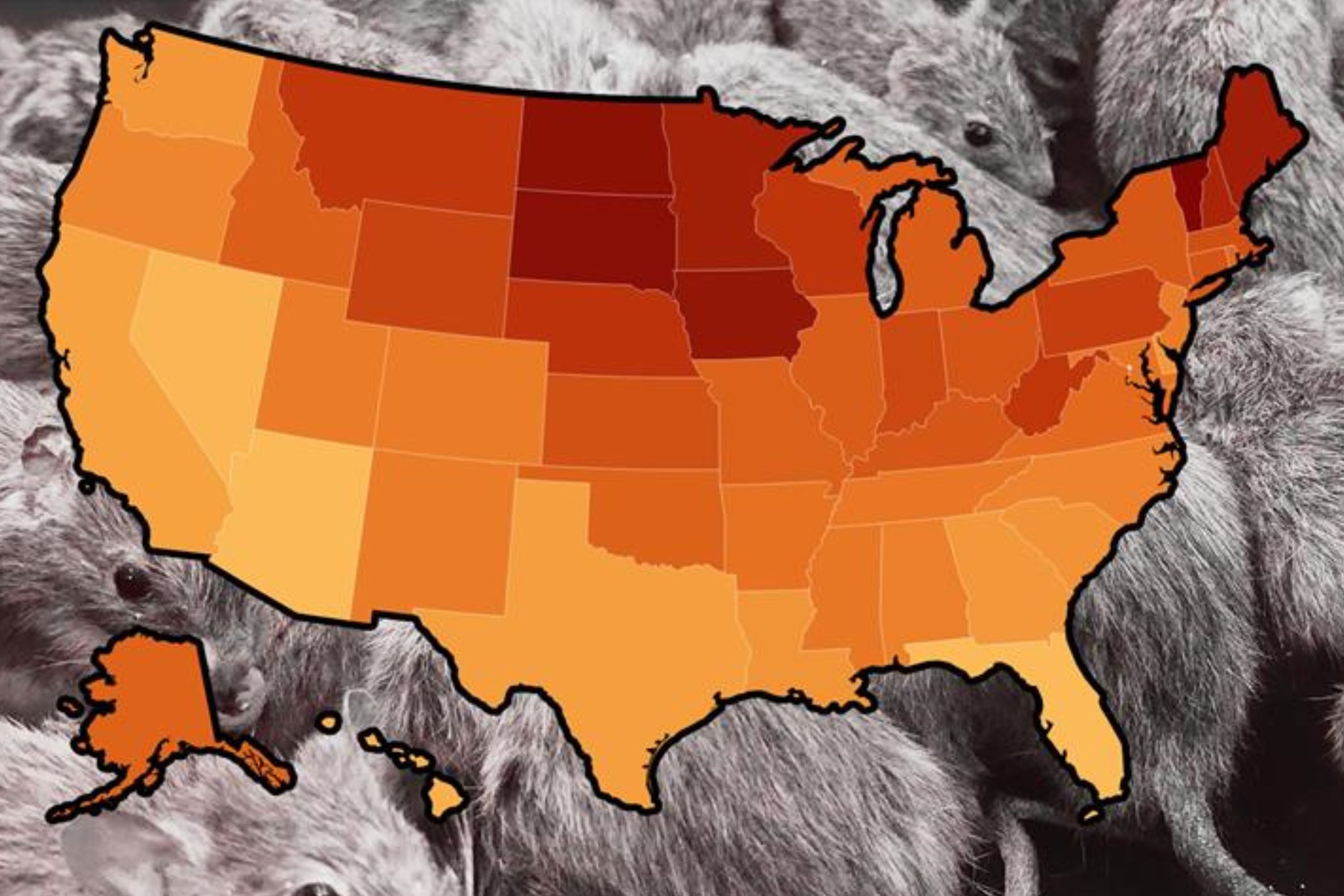 Map reveals most rodent infested - AA1Ih2P0.img