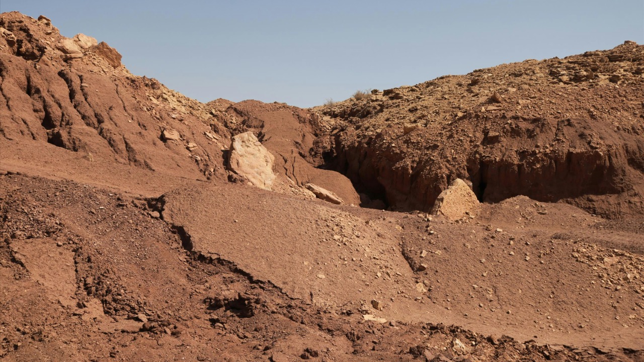 Fossilized Microbial Life Evidence