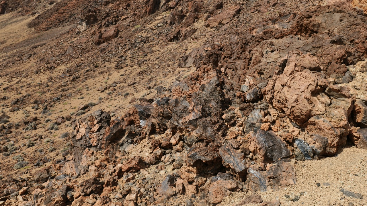 Mysterious Martian Meteorites