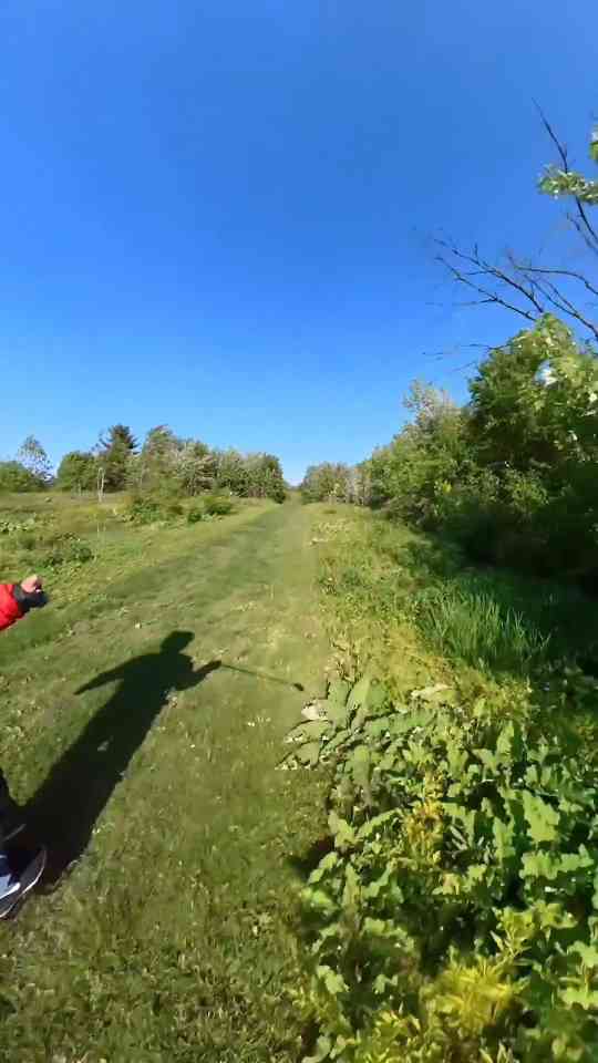 I didn 39 t know they could do that - AA1IhlDD.img