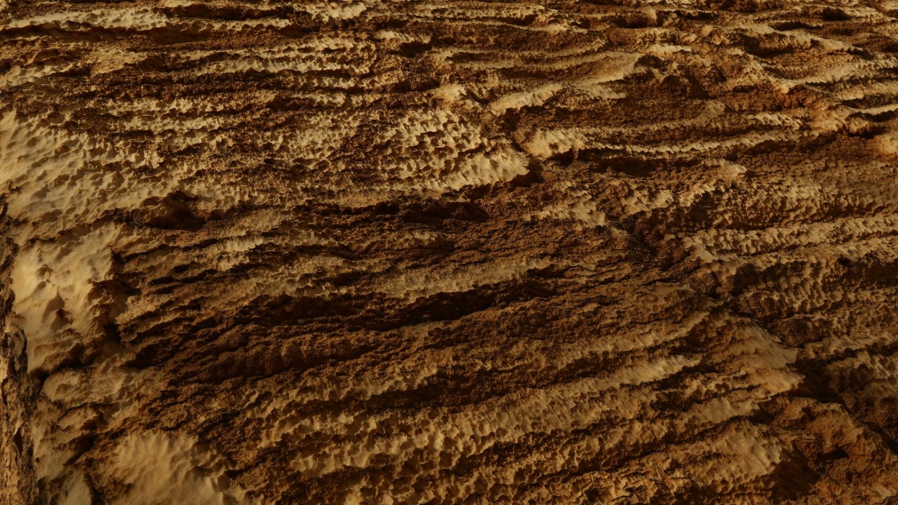 Surface Anomalies Captured by Rovers