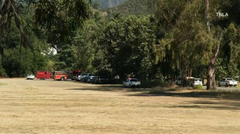 Branch that killed boy, 8, at Calabasas park fell from tree with known ...
