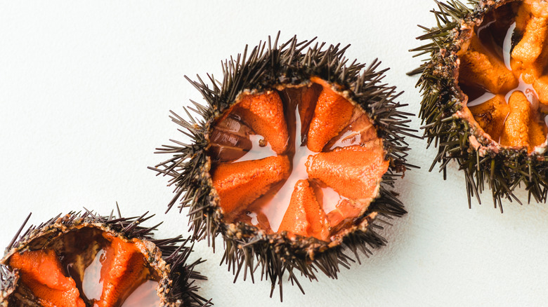 26 Popular Types Of Seafood, Ranked