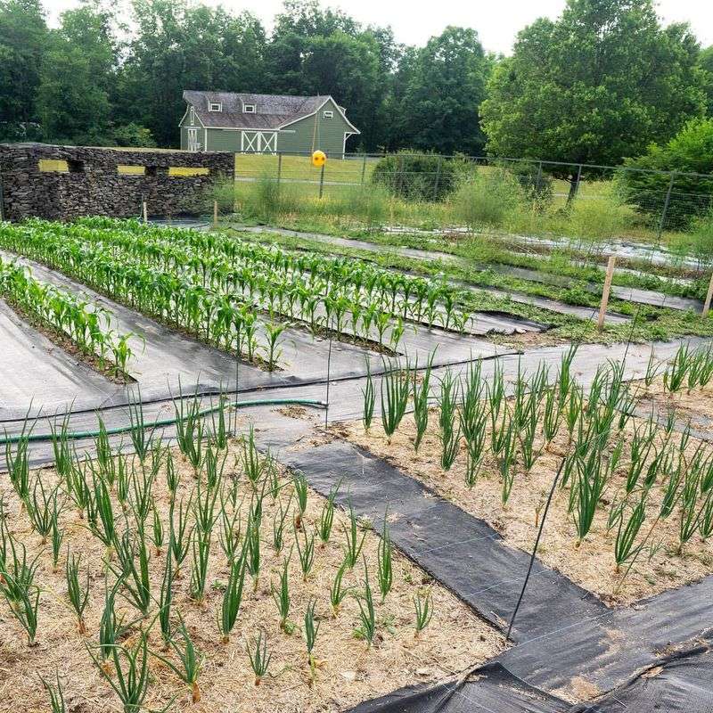 This Hudson valley town is New York’s best-kept secret for food and