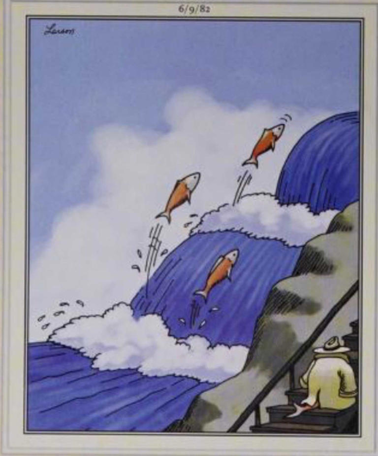 10 wordless The Far Side comics that are basically perfect