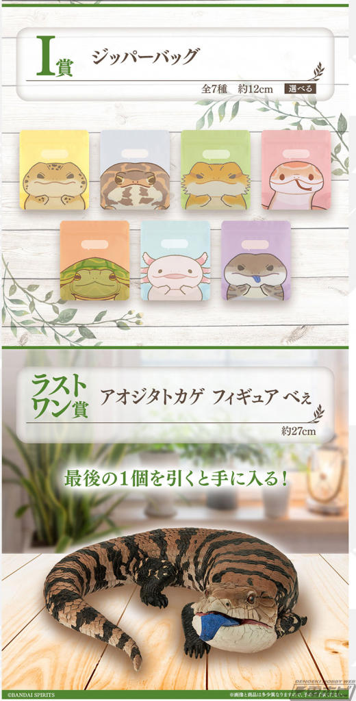 爬虫類&両生類　一番くじ　C賞 ヘルマンリクガメ　D賞 クレステッドゲッコー 📣ヘルマンリクガメと クレステッドゲッコーが 一番くじに登場