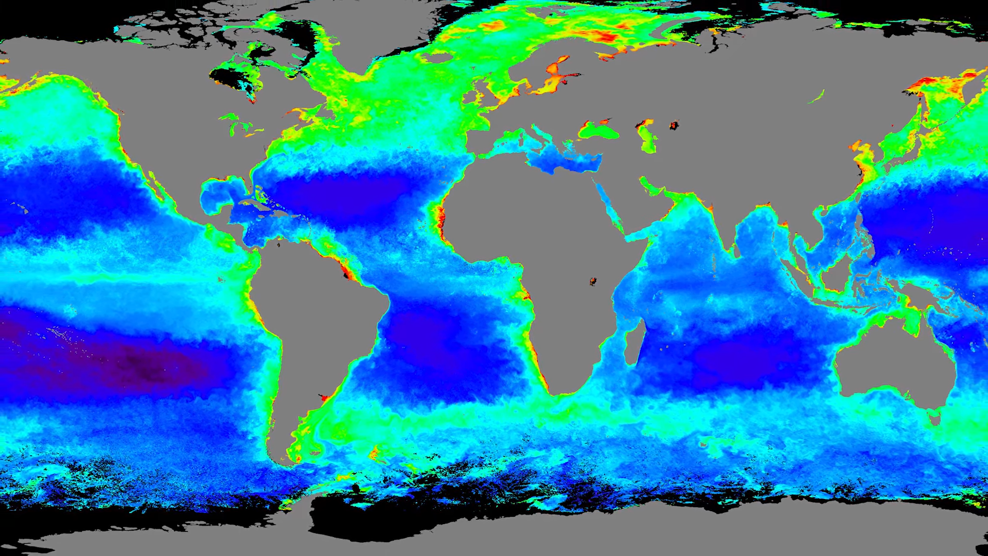 Oceans Cover 70% of Earth - So Why Is So Much of It Empty?