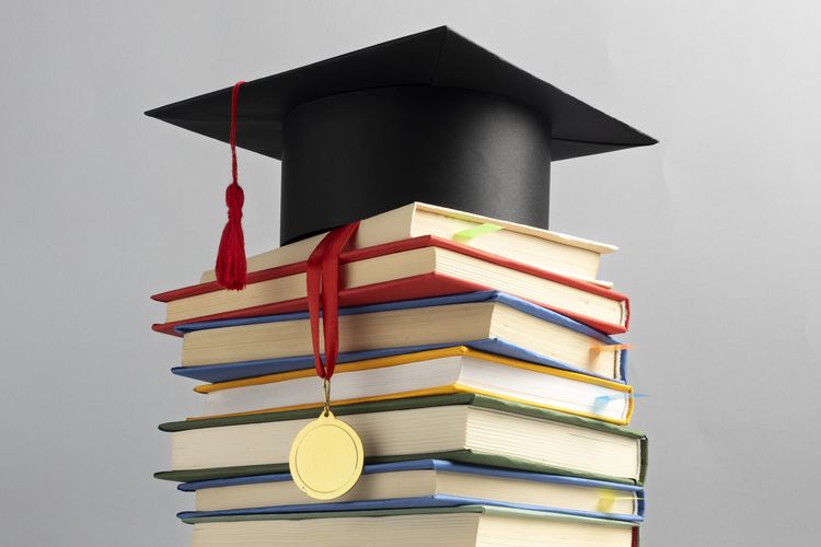 Ilustrasi pengembangan cendekiawan dan profesional