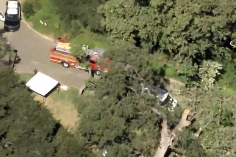 SoCal boy was killed by massive tree branch at summer camp; $19.3 ...