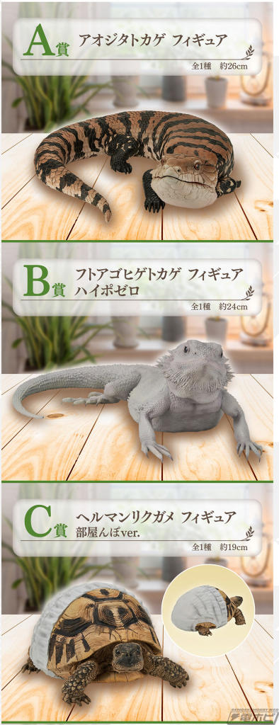 一番くじ爬虫類＆両生類 vol.2 Ａ賞アオジタトカゲ＆Ｃ賞 ヘルマンリクガメ 一番くじ 爬虫類&両生類 vol 2 A賞 アオジタトカゲ C賞 ヘルマン