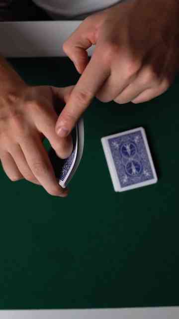 Riffle Shuffle And Bridge