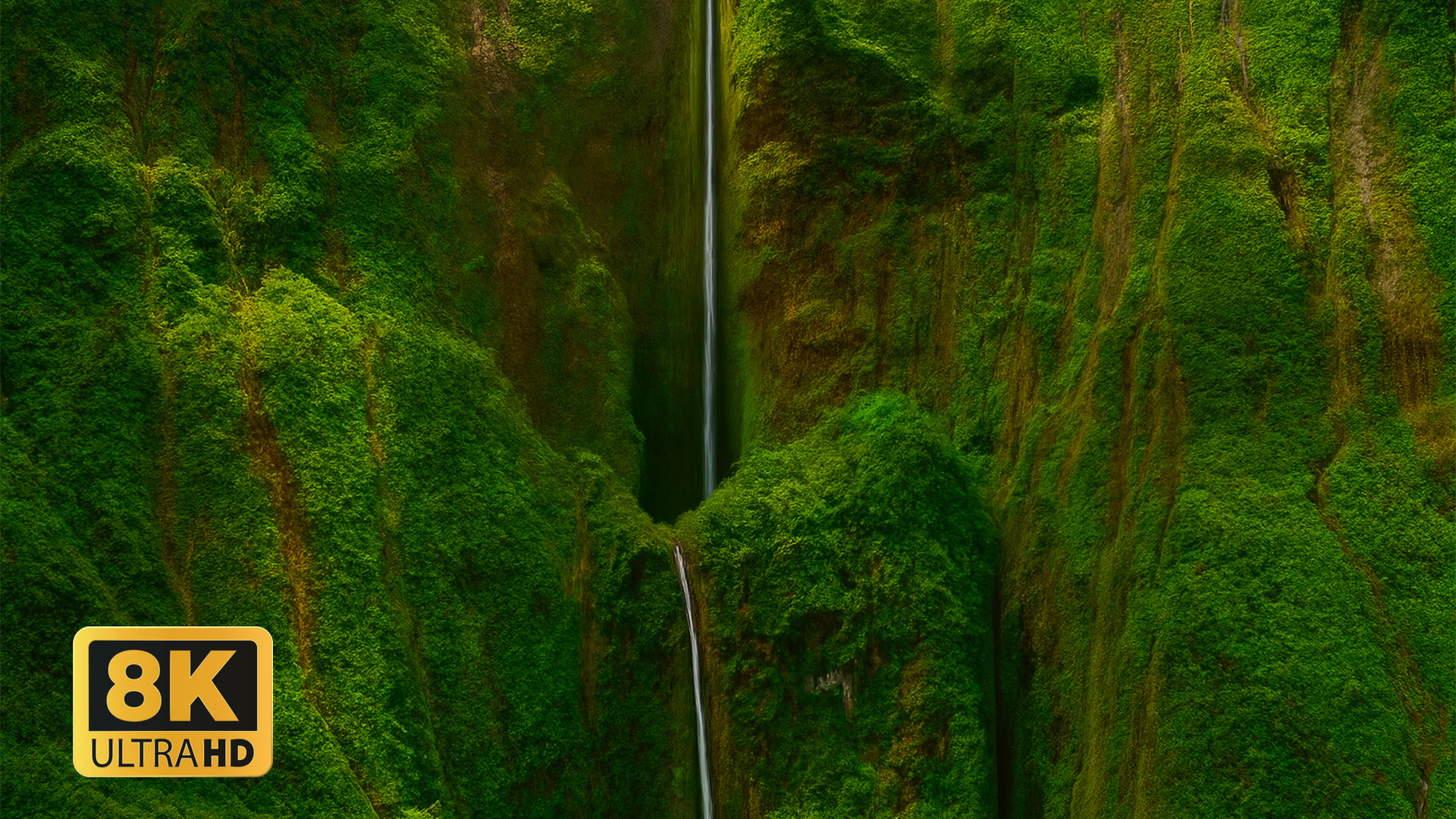 8k Hdr Color Explosion In Ultra Hd â Dolby Visionâ Dolby Atmos Demo