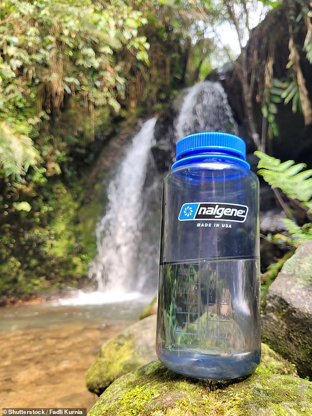 Female hiker reveals incredible trick she used to fight off bear in