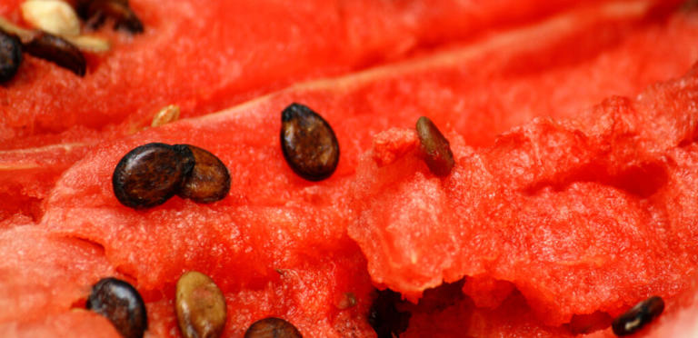 تناولوها مع البطيخ