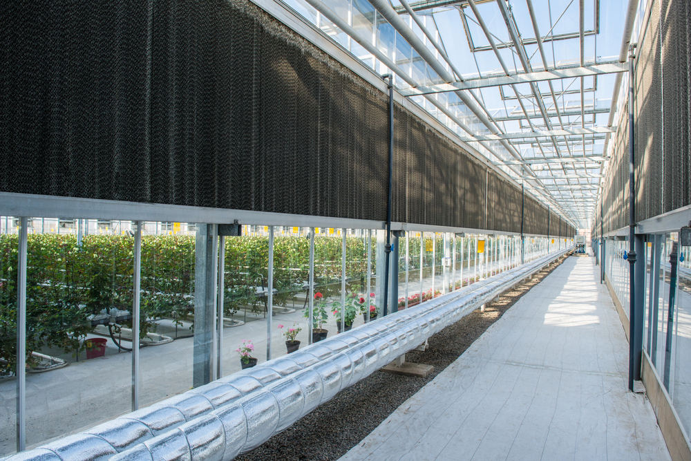 15 Amazing Examples of Bio-Architecture Around the World