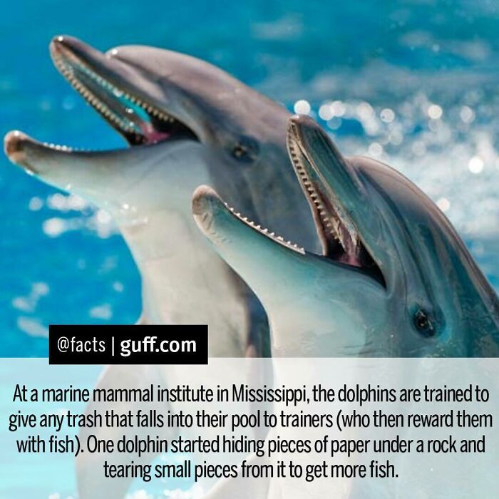 49 Of The Most Interesting Facts About Our World, As Shared By This ...