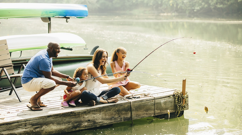 Southwest Missouri 39 s 39 Gem Of The - AA1Imcew.img