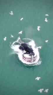 Off the Coasts of Iceland