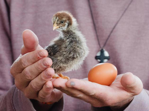 Tierisches Wunder im Osten von München: Vögel werden zur Attraktion im ...