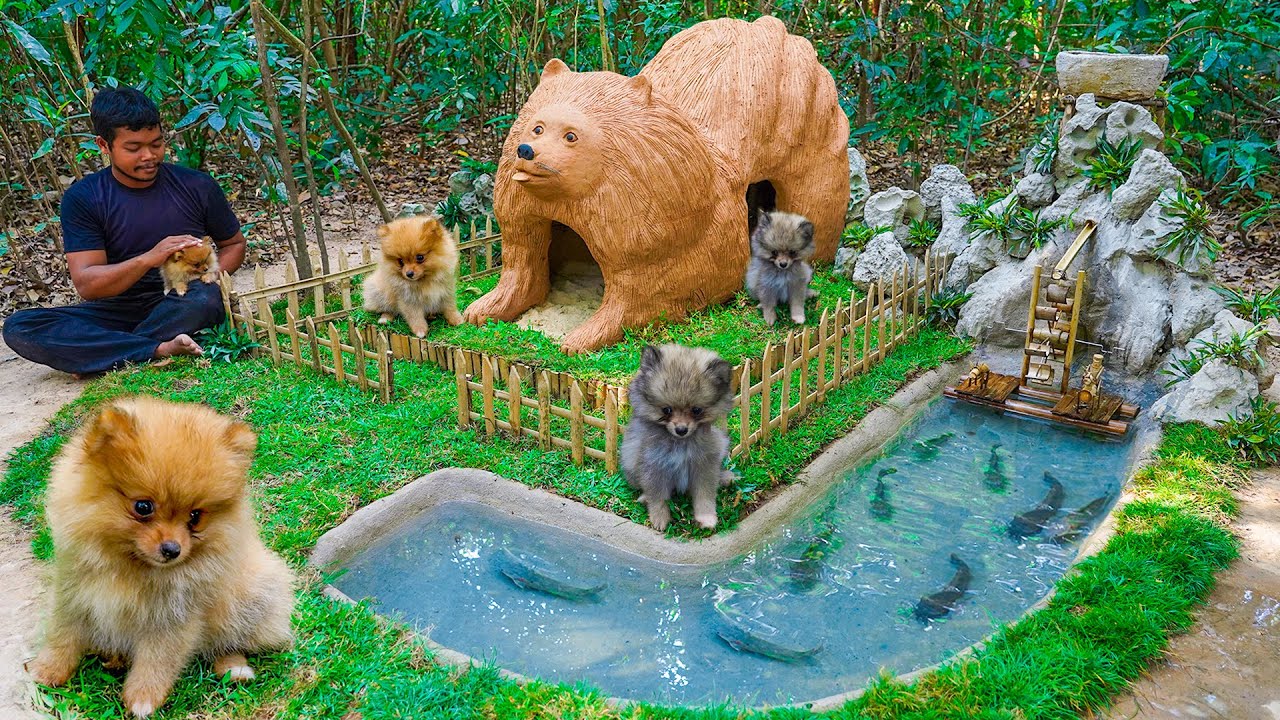 Rescued Pomeranian puppies get a hand built cozy home filled with love