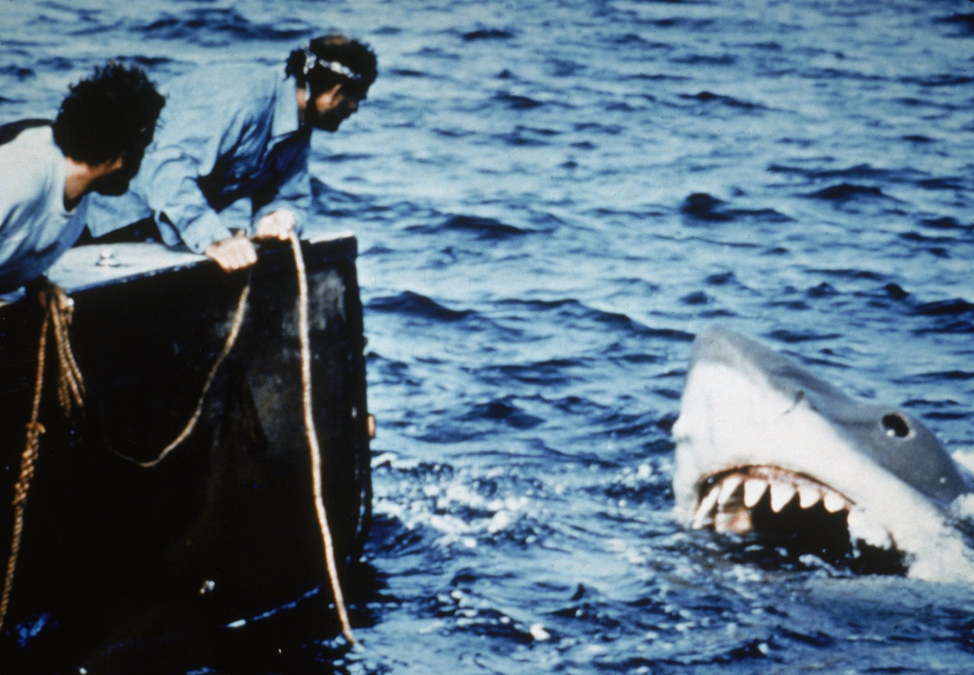Richard Dreyfuss (L) and Robert Shaw lean off the back of their boat, holding ropes as they watch the giant Great White shark emerge from the water filming Jaws