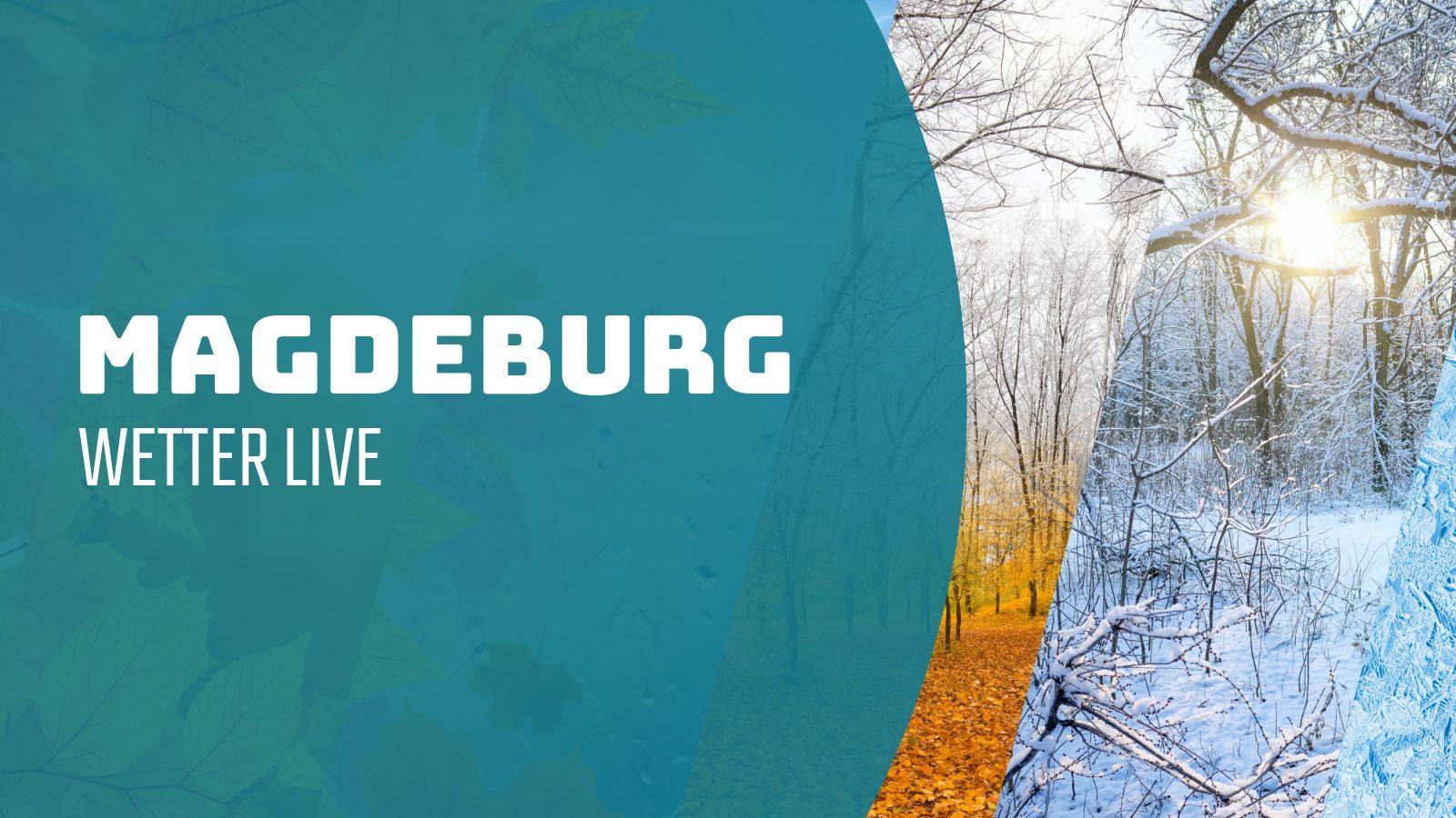 Magdeburg - Wetter Live