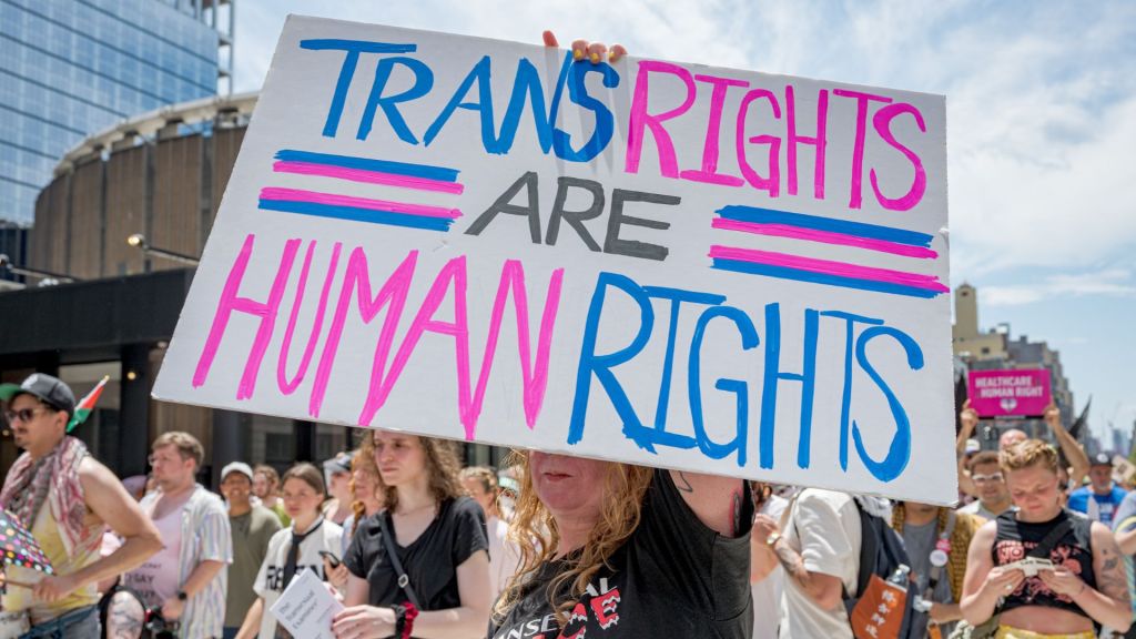 Academic threatens to sue university after pro-trans students disrupted ...