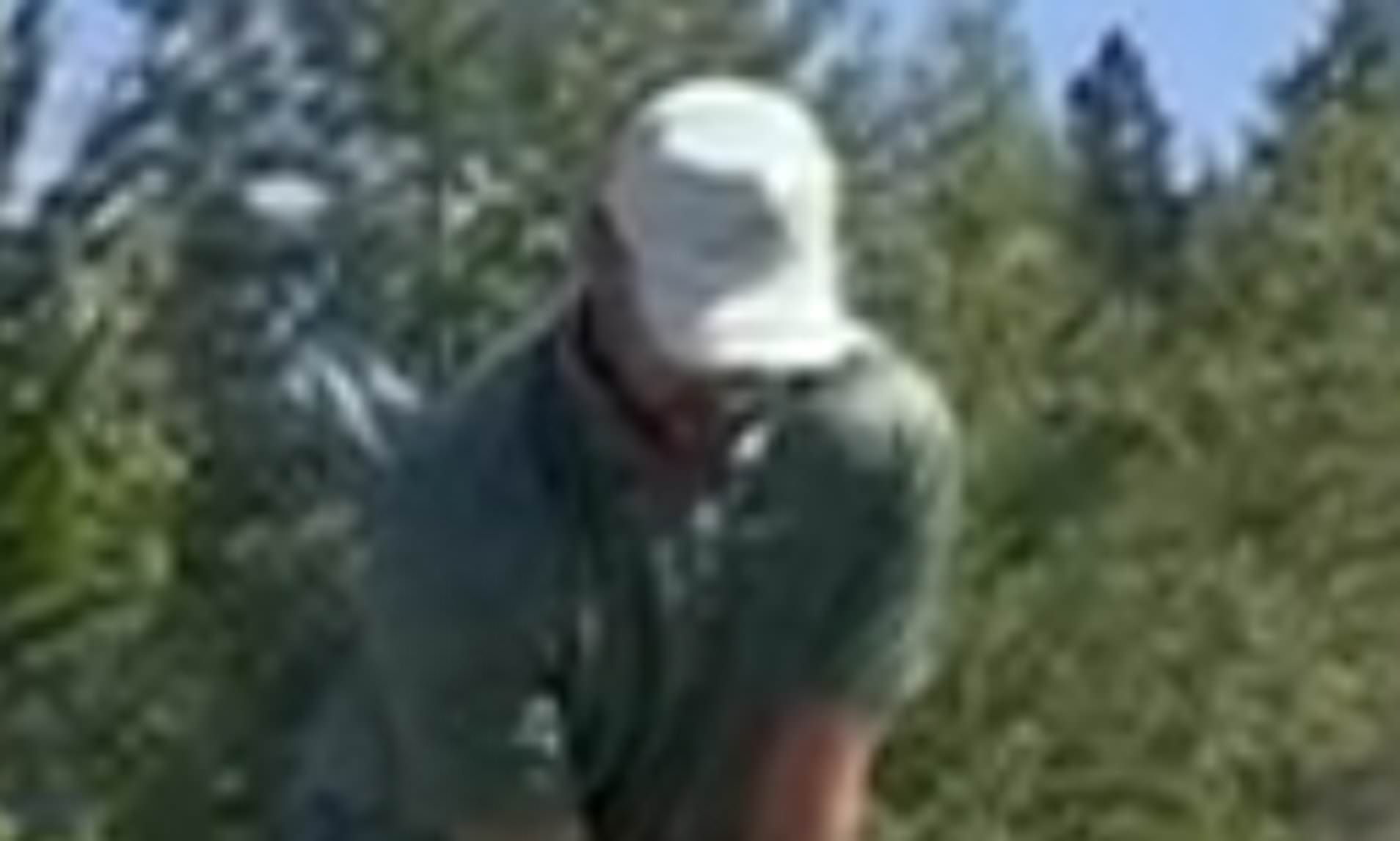 Travis and Jason Kelce tee off at golf tournament amid rumors Taylor