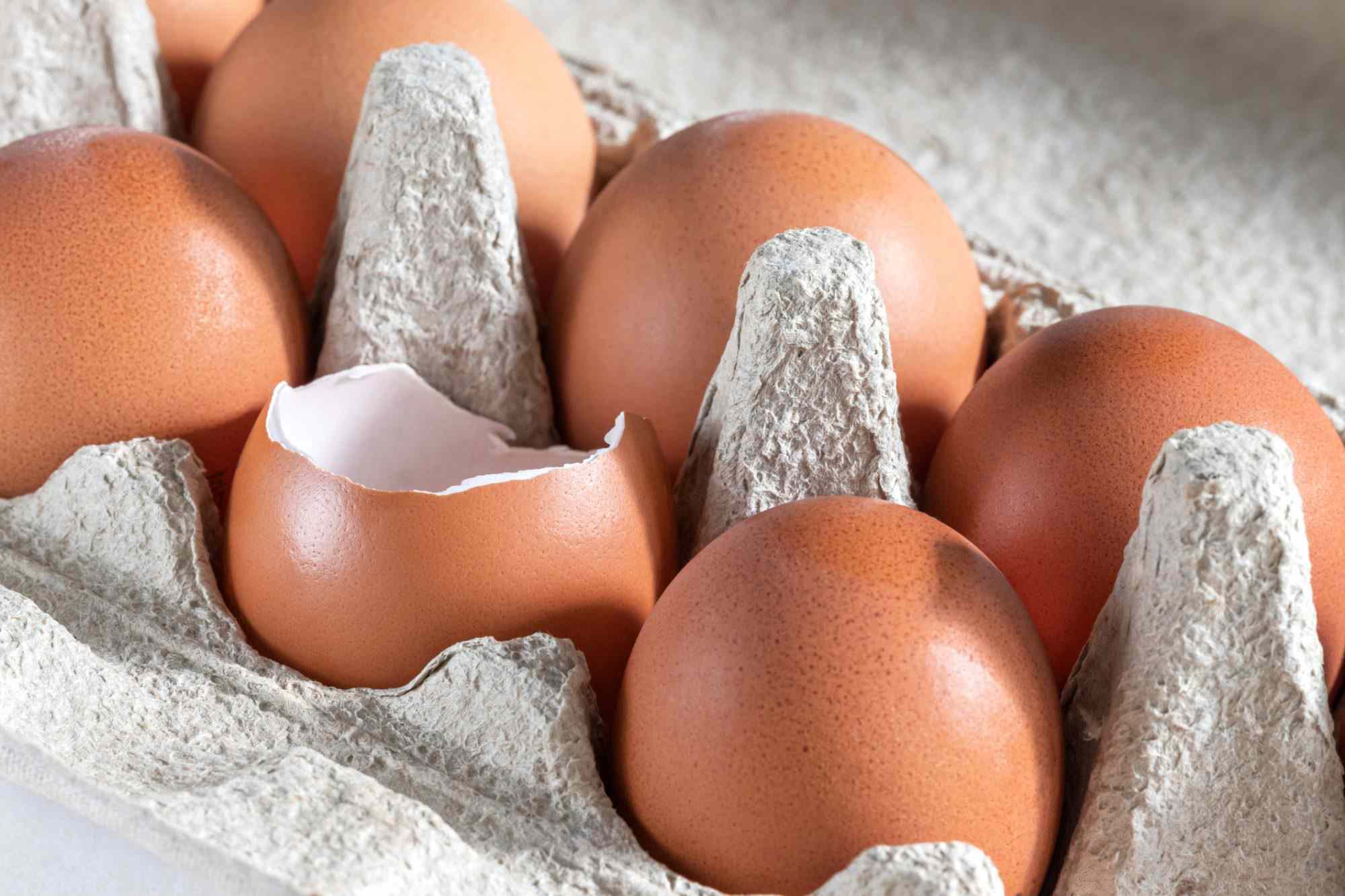Don't Put Eggshells Back in the Carton—Here's Why