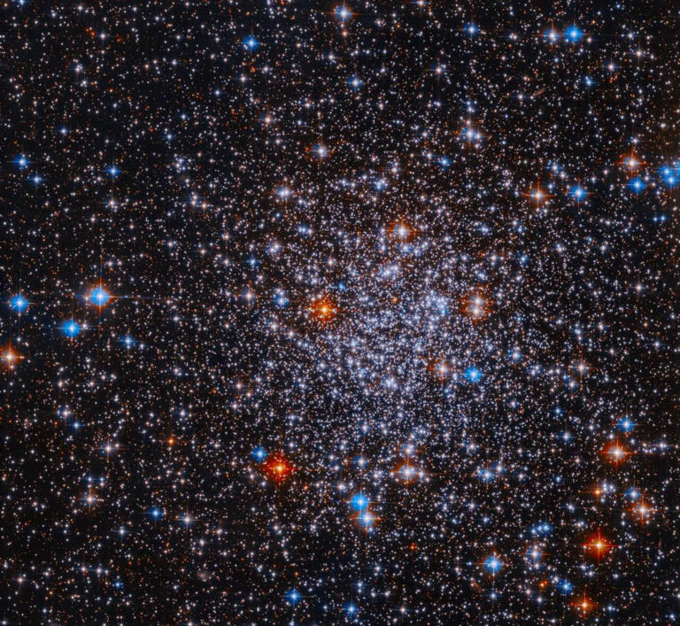 【▲ ハッブル宇宙望遠鏡（HST）が観測した球状星団「ESO 591-12（パロマー8）」（Credit: NASA, ESA, and D. Massari (INAF — Osservatorio di Astrofisica e Scienza dello Spazio); Processing: Gladys Kober (NASA/Catholic University of America)）】
