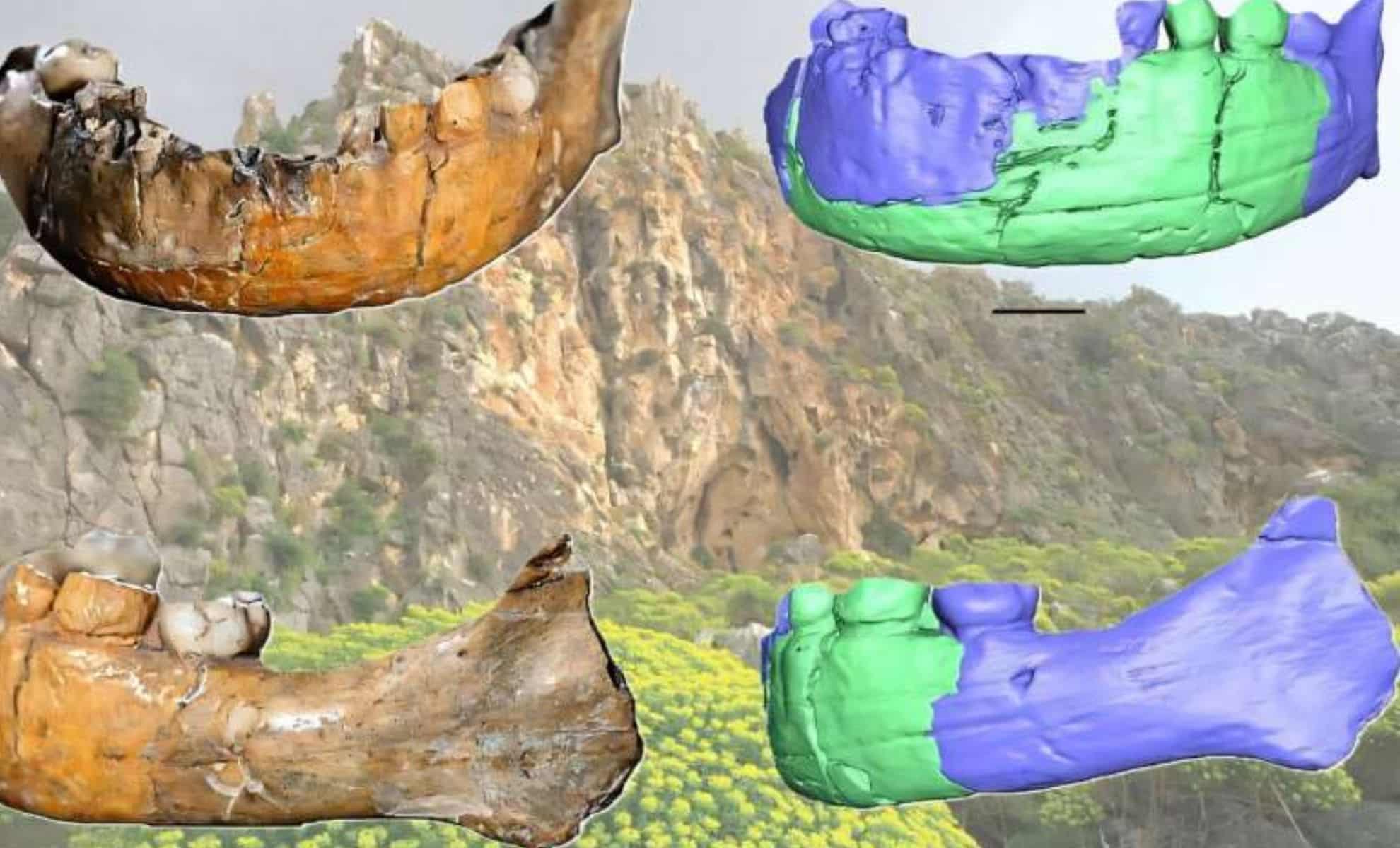 New Skhūl I Skull Analysis Could Change Everything We Know About Early